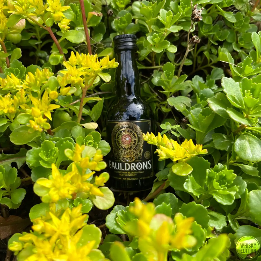 Gauldrons Small Batch Release - Douglas Laing's