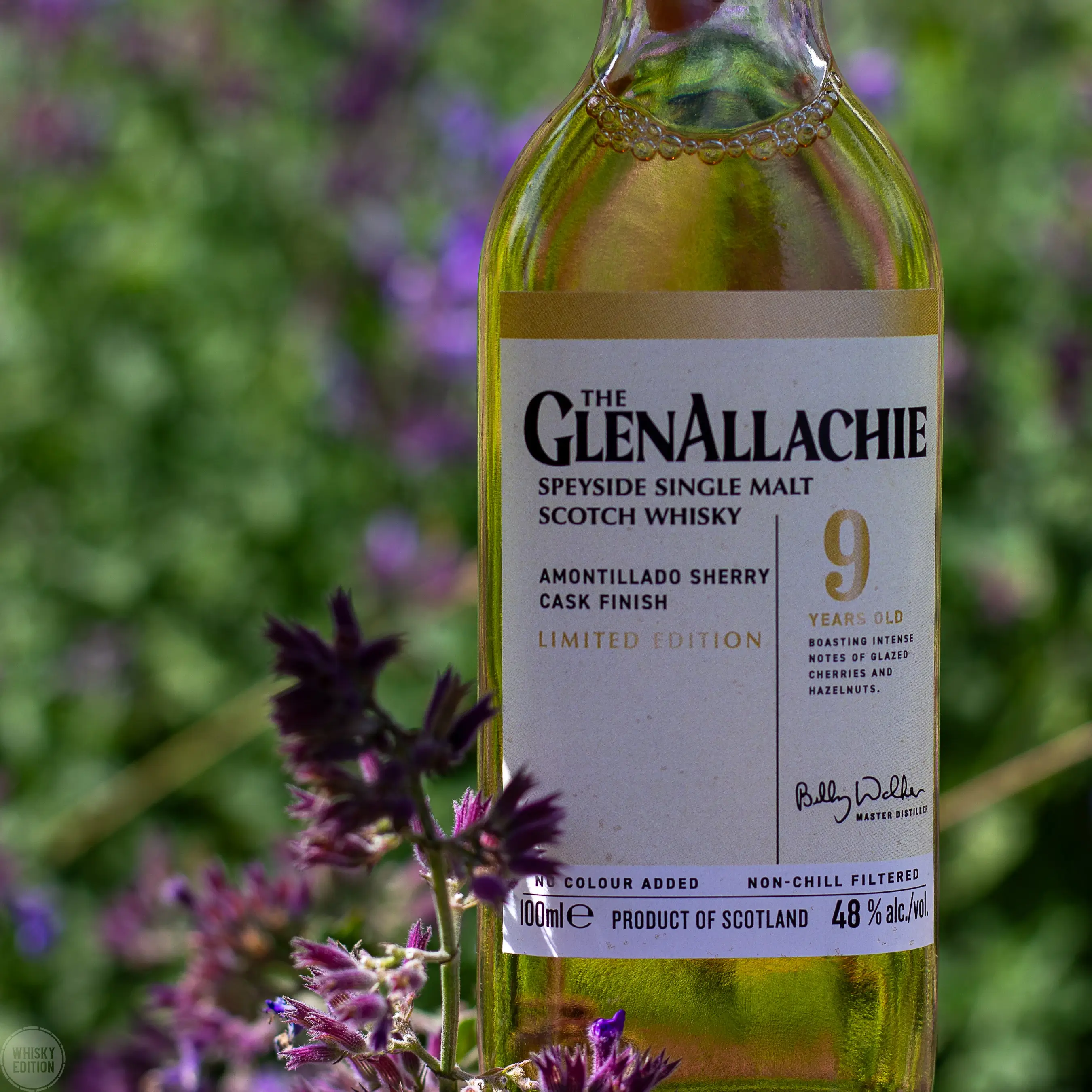 GlenAllachie 9 Year Old Amontillado Sherry Cask Finish - The Wood Collection